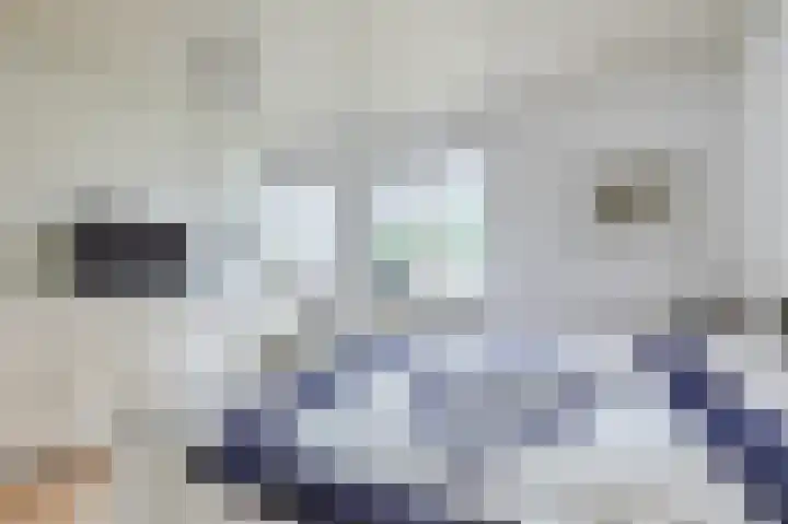 Schutsboomstraat 10 Heesch thumbnail 33
