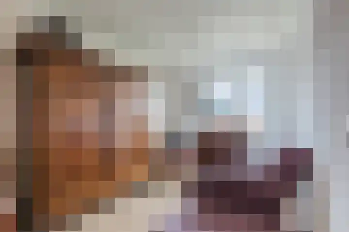 Schutsboomstraat 10 Heesch thumbnail 39