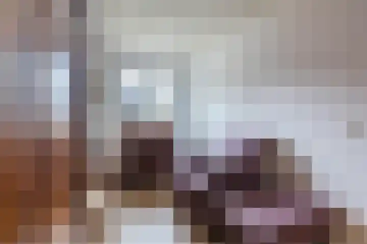 Schutsboomstraat 10 Heesch thumbnail 40