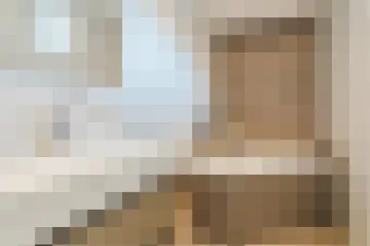Schutsboomstraat 10 Heesch thumbnail 42
