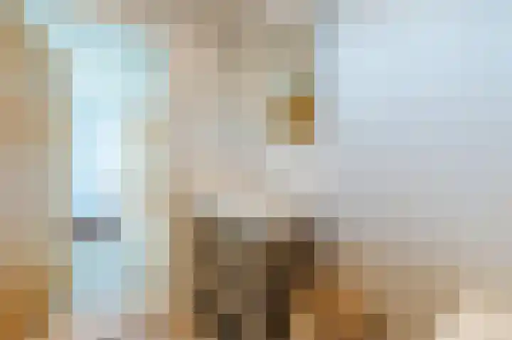Schutsboomstraat 10 Heesch thumbnail 43