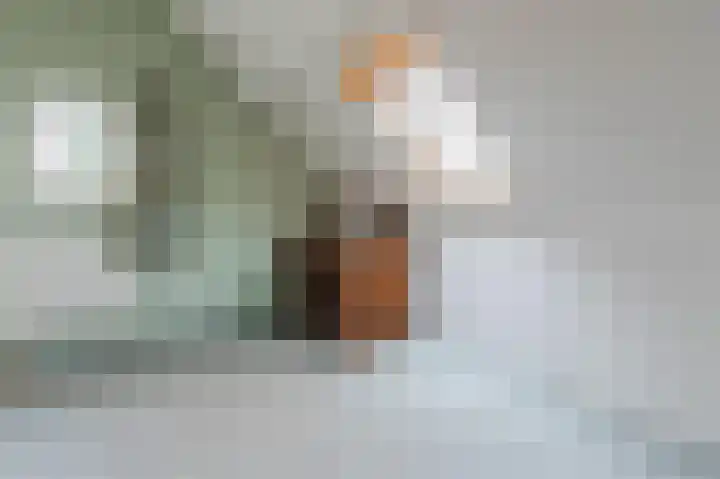 Schutsboomstraat 10 Heesch thumbnail 45