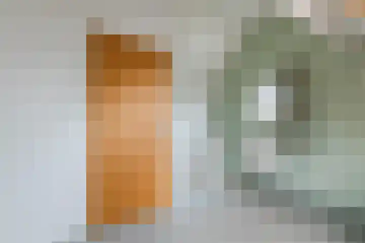 Schutsboomstraat 10 Heesch thumbnail 46