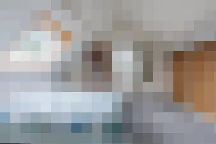 Schutsboomstraat 10 Heesch thumbnail 47