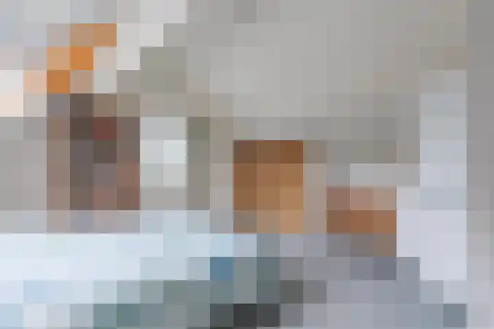 Schutsboomstraat 10 Heesch thumbnail 48