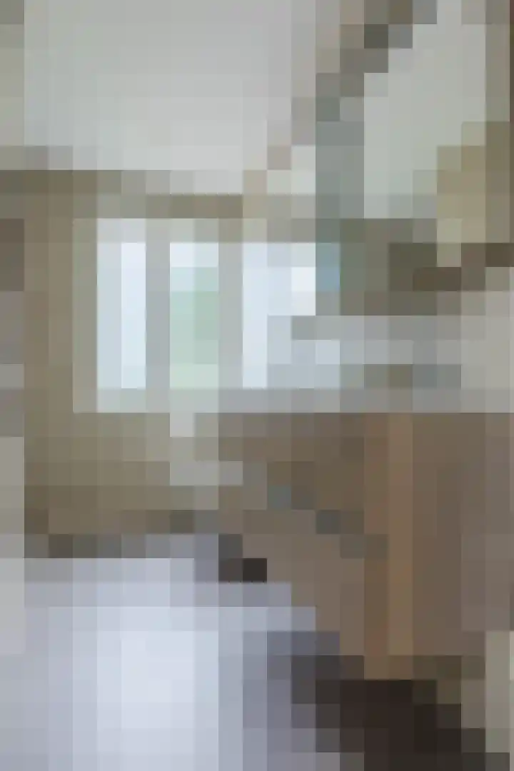 Schutsboomstraat 10 Heesch thumbnail 53