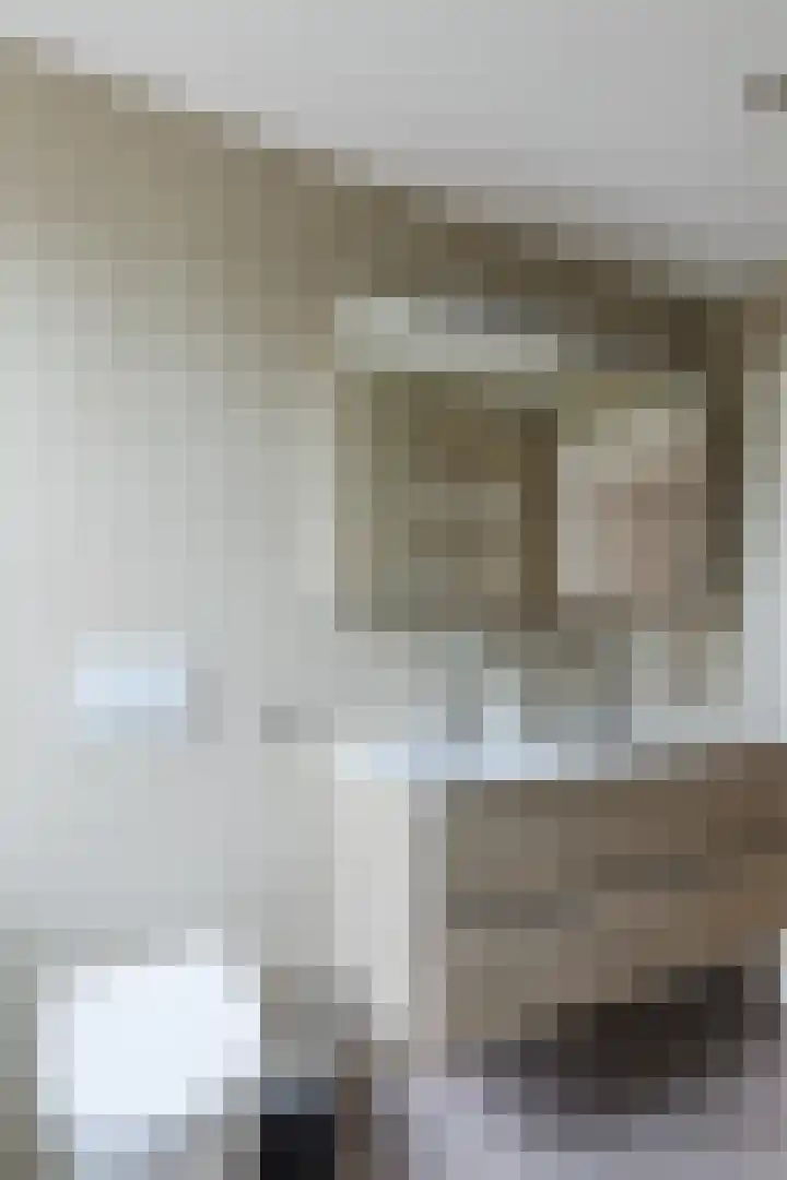 Schutsboomstraat 10 Heesch thumbnail 54