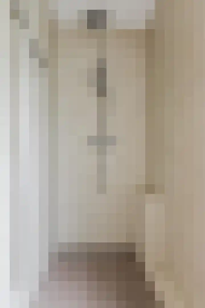 Schutsboomstraat 10 Heesch thumbnail 55