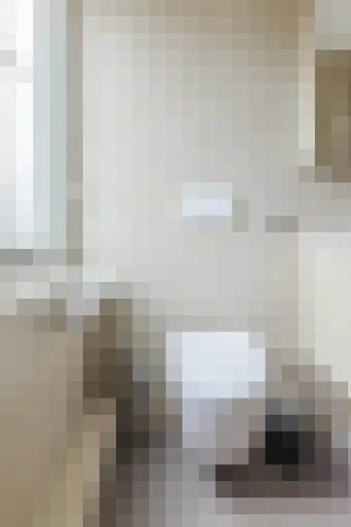 Schutsboomstraat 10 Heesch thumbnail 56