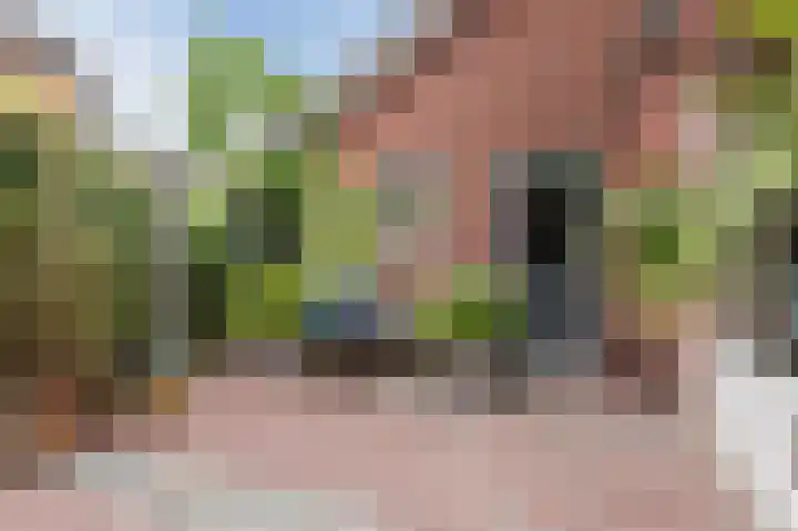 Schutsboomstraat 10 Heesch thumbnail 58