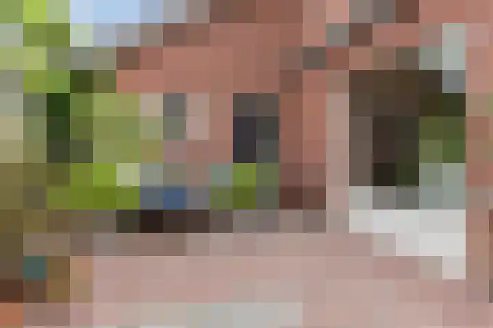 Schutsboomstraat 10 Heesch thumbnail 59