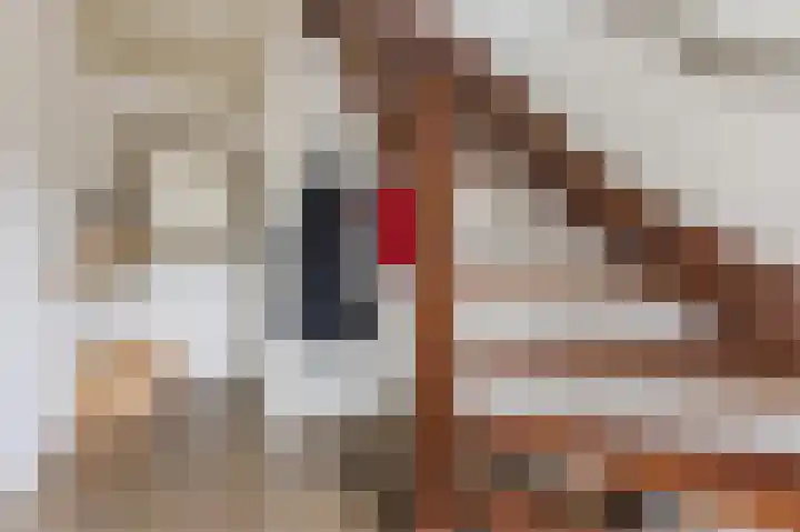 Schutsboomstraat 10 Heesch thumbnail 6