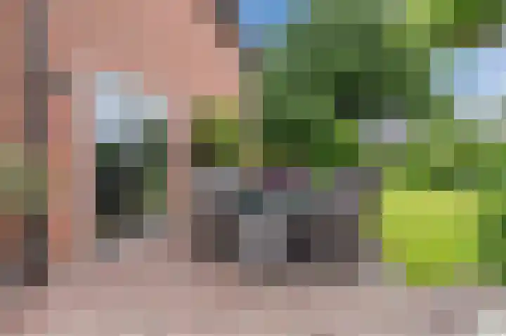 Schutsboomstraat 10 Heesch thumbnail 60