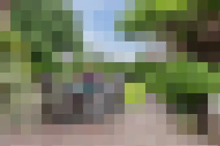 Schutsboomstraat 10 Heesch thumbnail 61