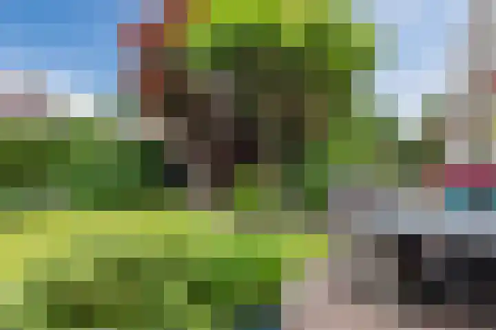 Schutsboomstraat 10 Heesch thumbnail 62