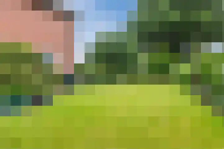 Schutsboomstraat 10 Heesch thumbnail 63