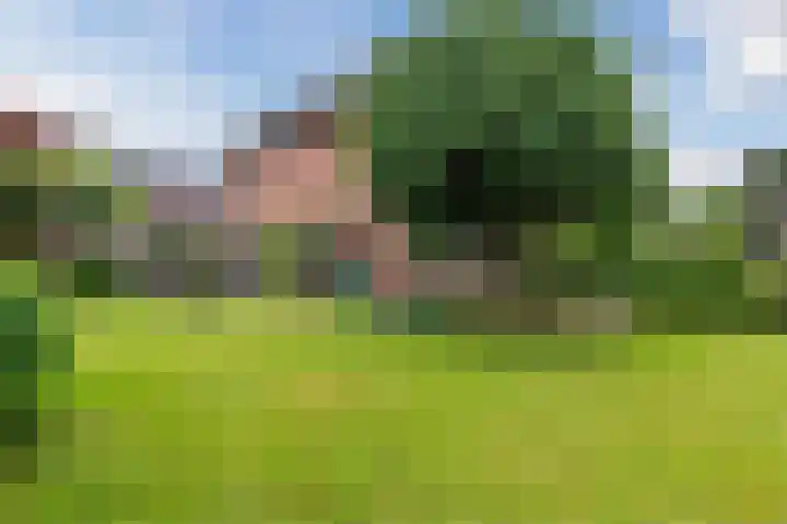 Schutsboomstraat 10 Heesch thumbnail 64