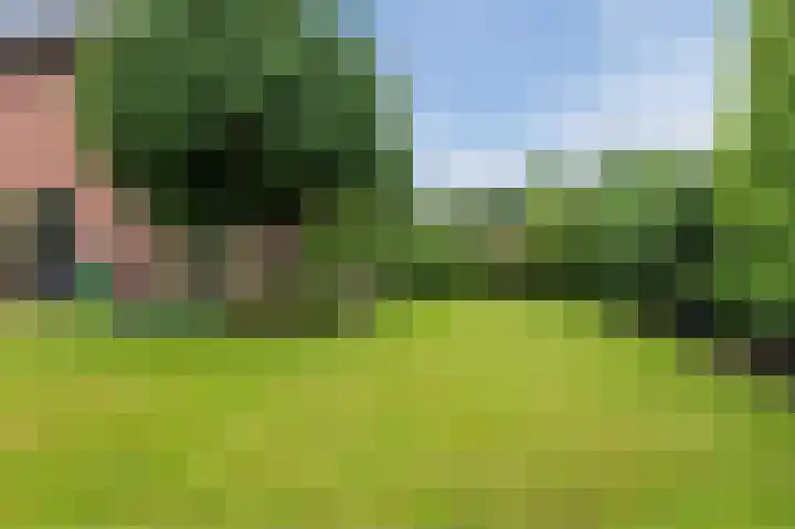 Schutsboomstraat 10 Heesch thumbnail 65