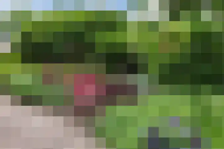 Schutsboomstraat 10 Heesch thumbnail 66