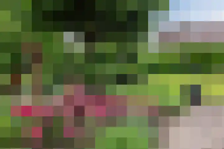 Schutsboomstraat 10 Heesch thumbnail 67
