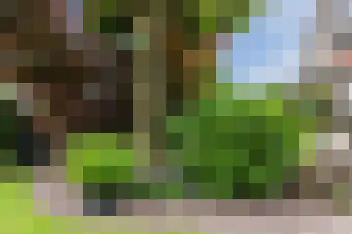 Schutsboomstraat 10 Heesch thumbnail 68