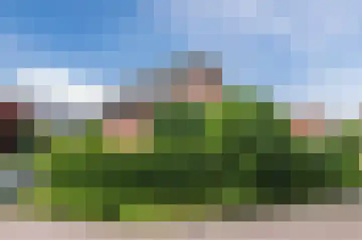 Schutsboomstraat 10 Heesch thumbnail 69