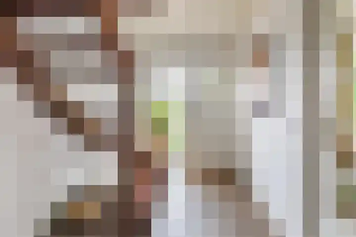 Schutsboomstraat 10 Heesch thumbnail 7