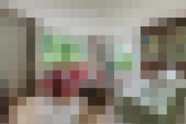 Schutsboomstraat 10 Heesch thumbnail 9