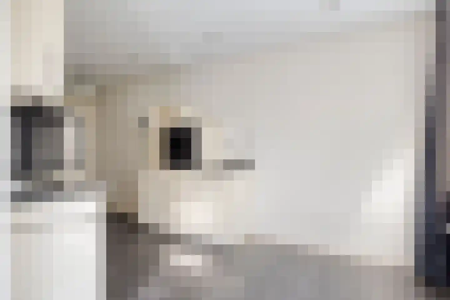 Schutsboomstraat 13 Schaijk thumbnail 16