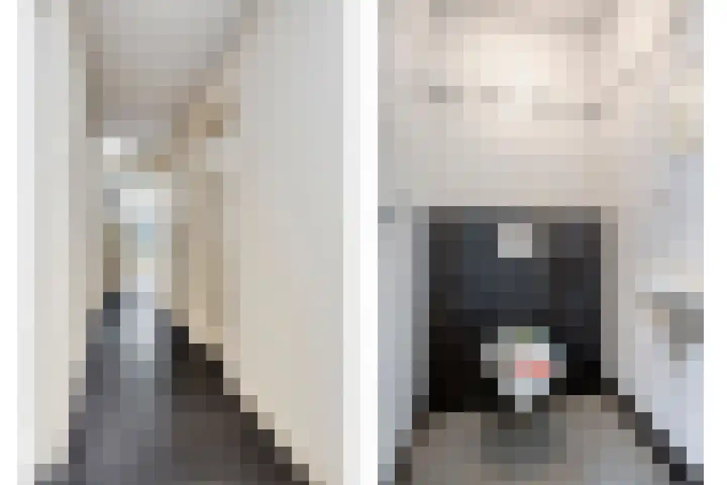 Schutsboomstraat 13 Schaijk thumbnail 21