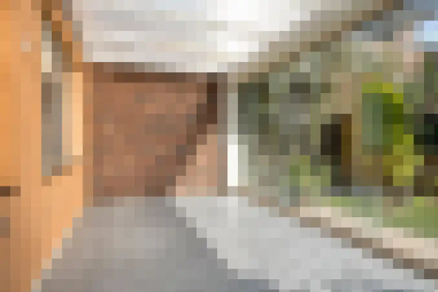 Schutsboomstraat 13 Schaijk thumbnail 35
