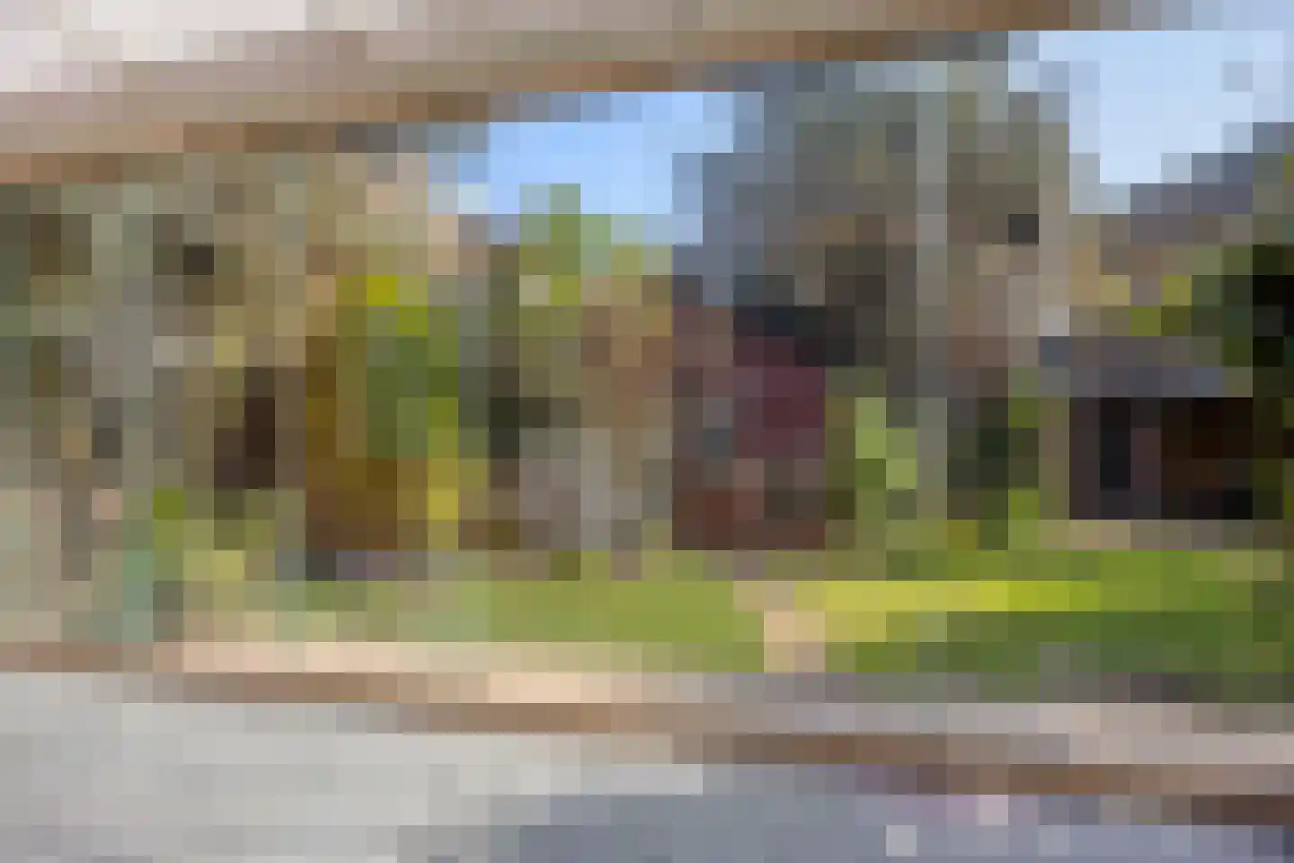 Schutsboomstraat 13 Schaijk thumbnail 36