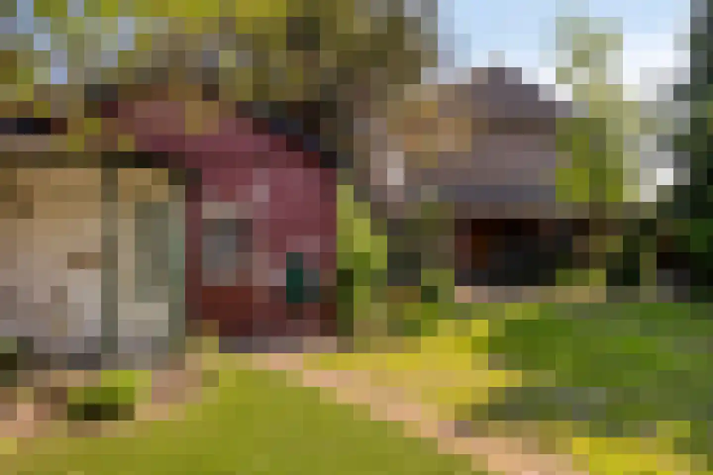 Schutsboomstraat 13 Schaijk thumbnail 38