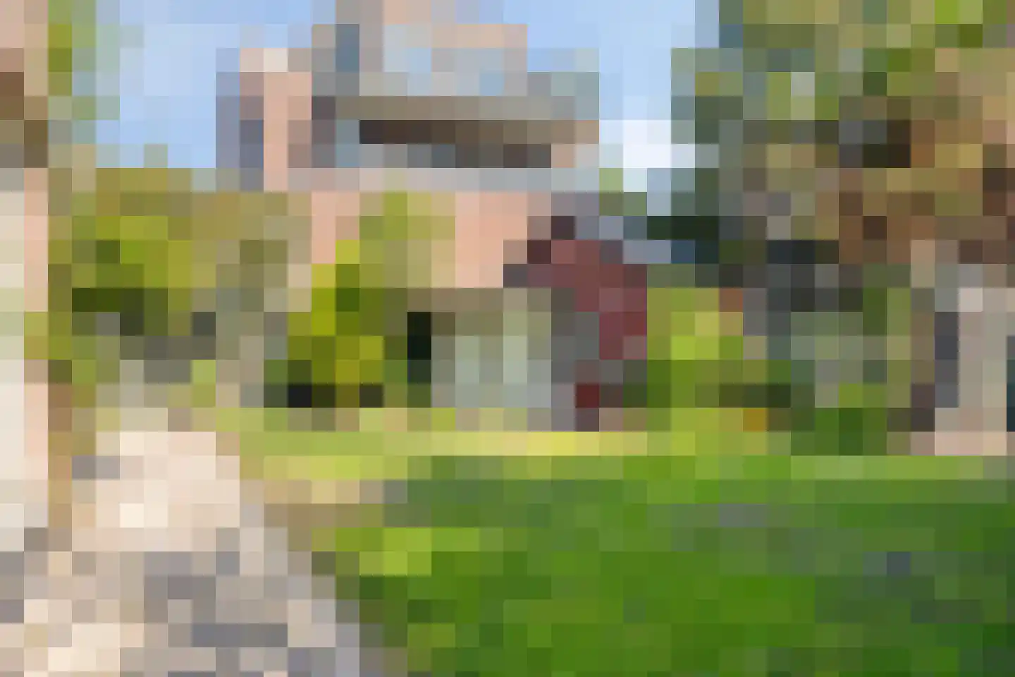 Schutsboomstraat 13 Schaijk thumbnail 39