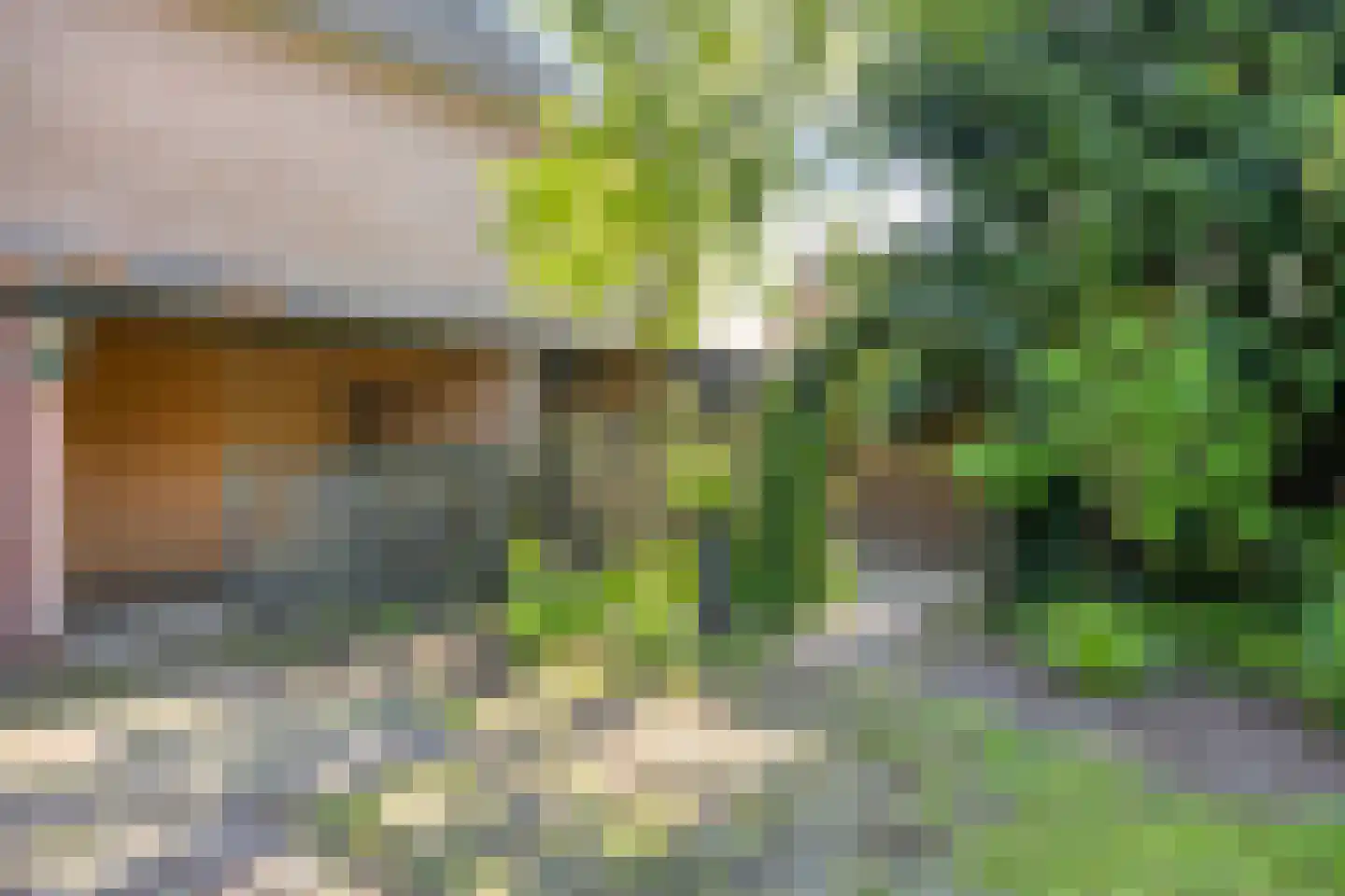 Schutsboomstraat 13 Schaijk thumbnail 40