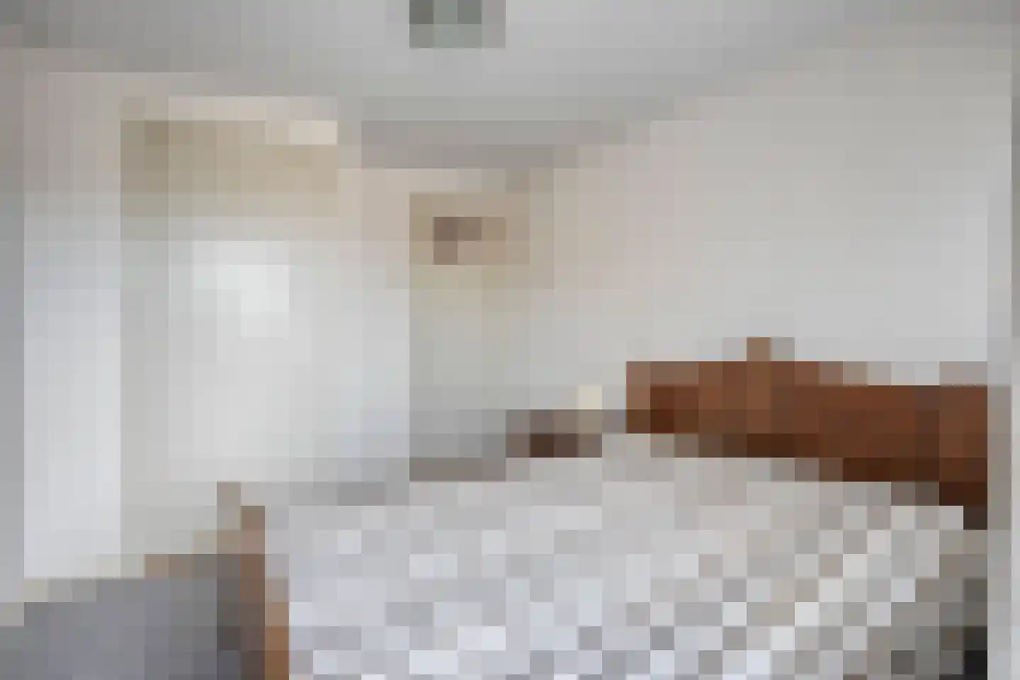 Schutsboomstraat 36 Schaijk thumbnail 18