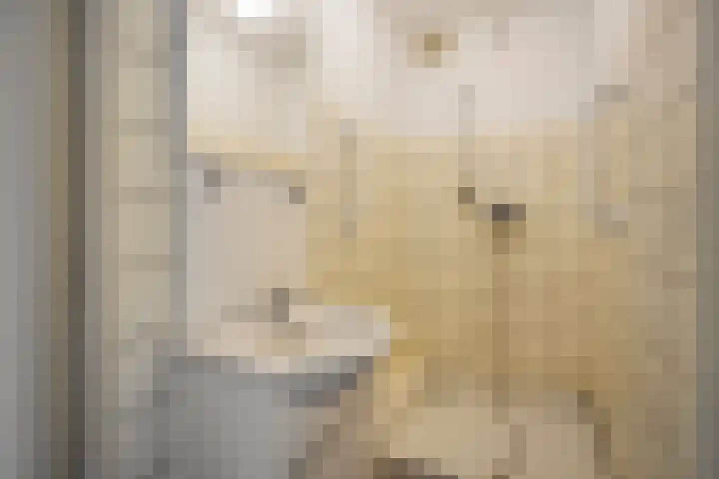 Schutsboomstraat 36 Schaijk thumbnail 19