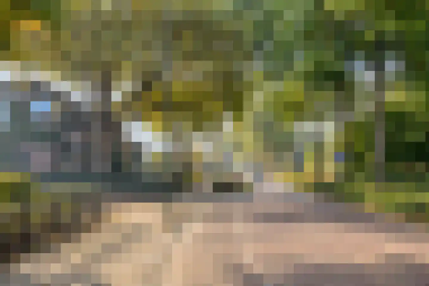 Schutsboomstraat 36 Schaijk thumbnail 33