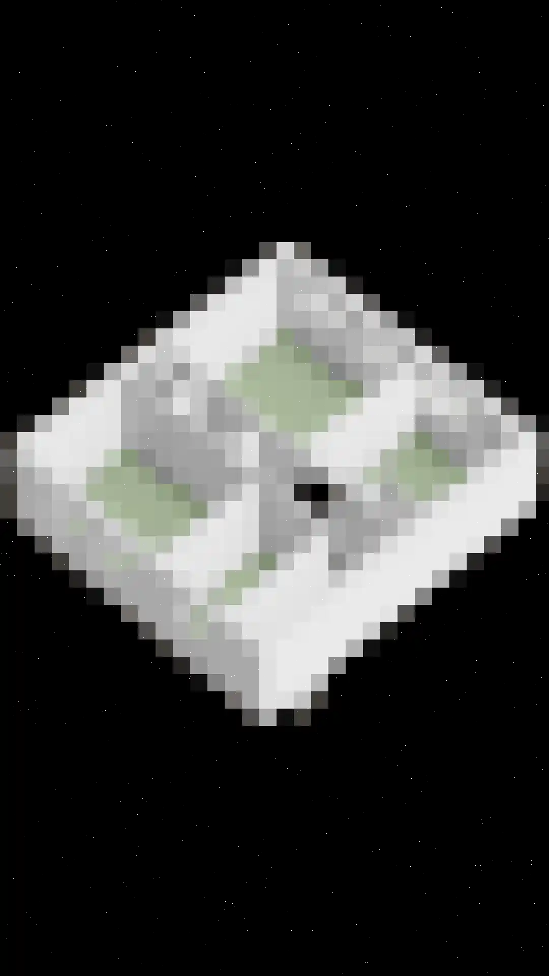 Schutsboomstraat 36 Schaijk thumbnail 39