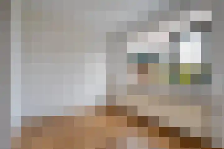Schutselaan 29 Coevorden thumbnail 13