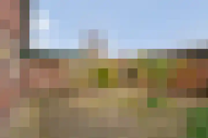 Schutselaan 29 Coevorden thumbnail 31