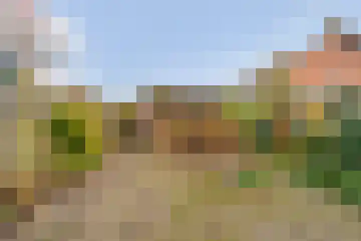 Schutselaan 29 Coevorden thumbnail 32