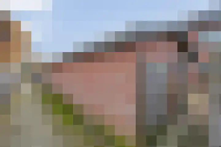 Schutselaan 29 Coevorden thumbnail 34