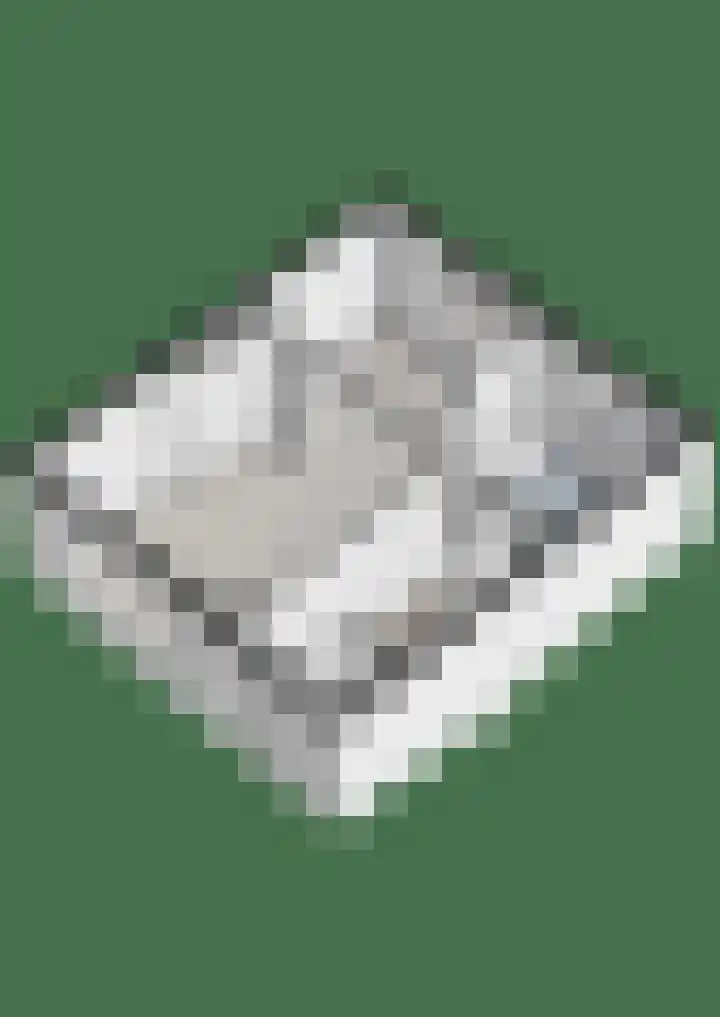 Schutselaan 29 Coevorden thumbnail 37