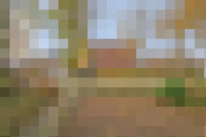 Schutselaan 29 Coevorden thumbnail 4