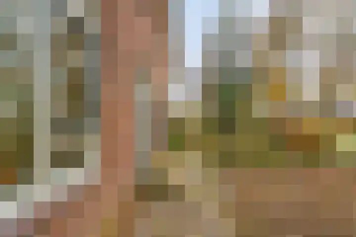 Schutselaan 29 Coevorden thumbnail 5