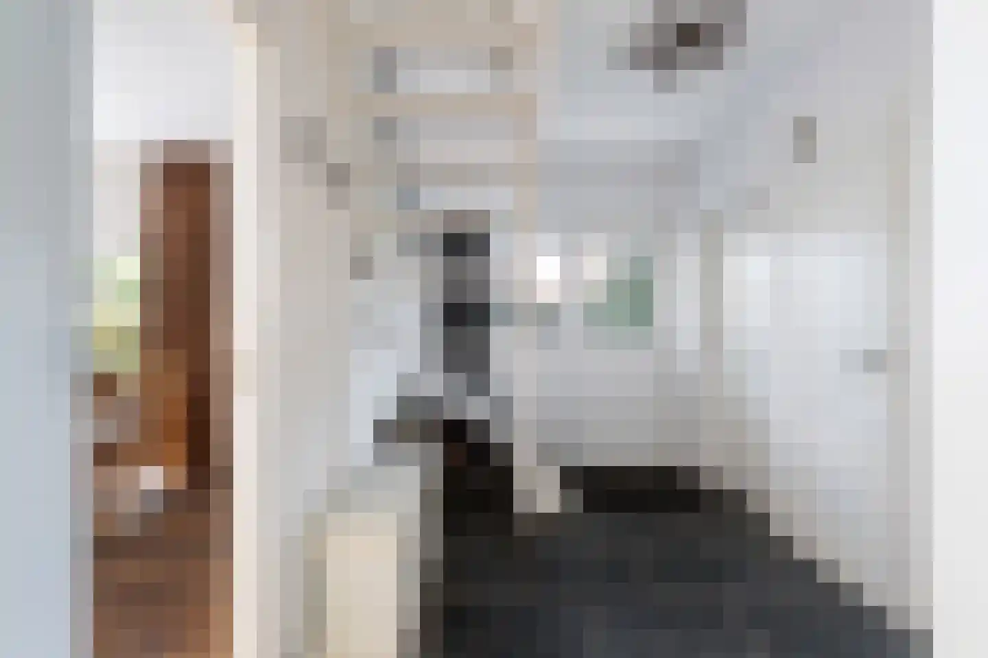 Schutsestraat 19 Prinsenbeek thumbnail 10
