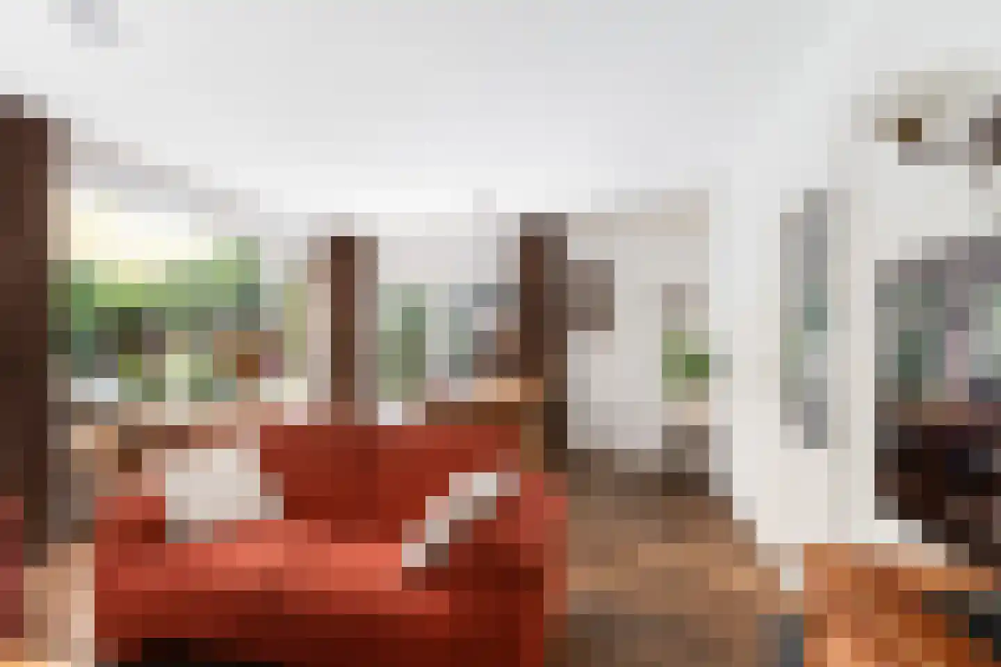 Schutsestraat 19 Prinsenbeek thumbnail 15