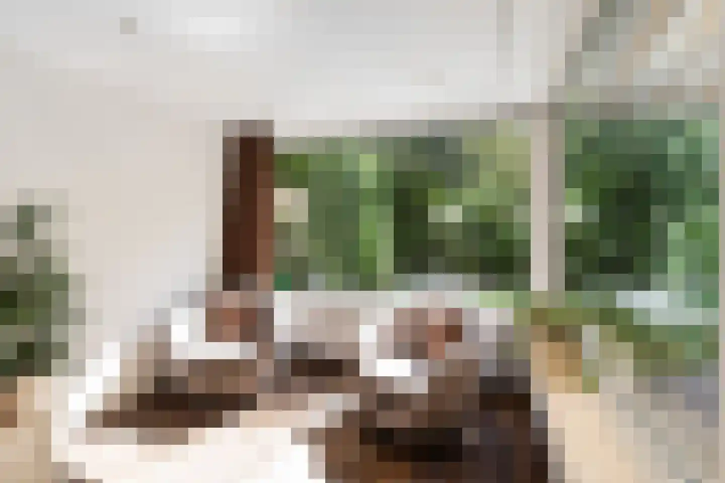 Schutsestraat 19 Prinsenbeek thumbnail 16