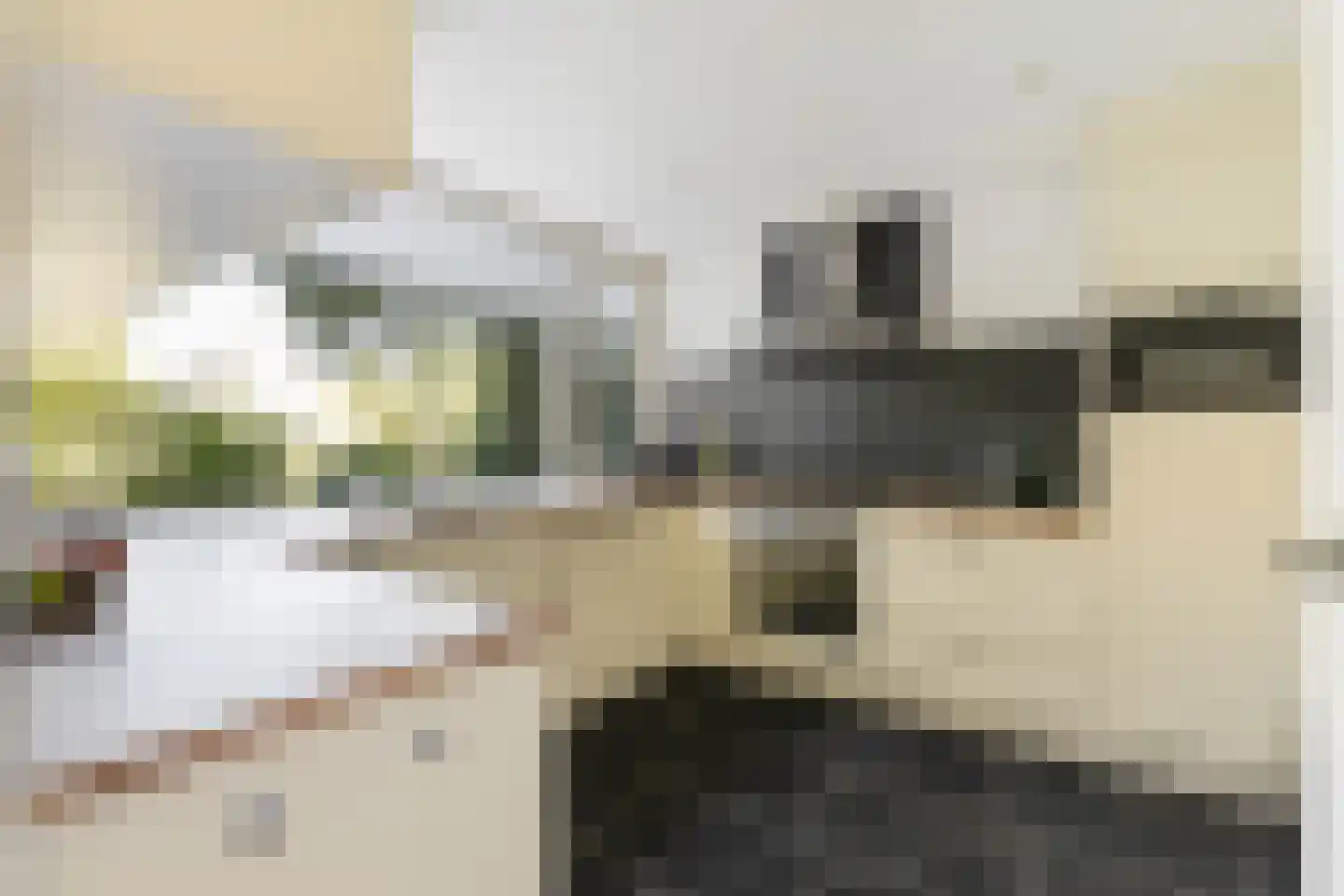 Schutsestraat 19 Prinsenbeek thumbnail 18